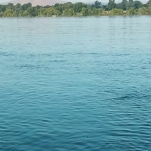 Meet your Posher, Sean